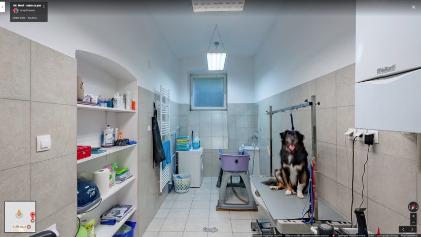 Mr. Woof - salon za pse